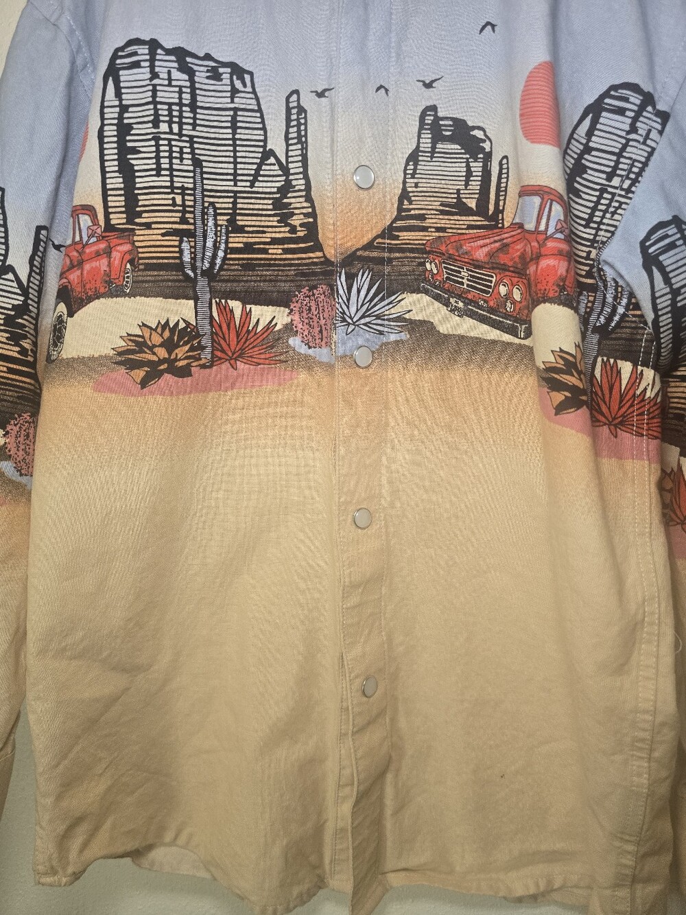 Panhandle Desert Scene Pearl Snap Button-Up. Cream & Light Blue Boys Sz M-10 - Picture 3 of 3